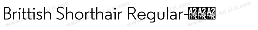 Brittish Shorthair Regular字体转换